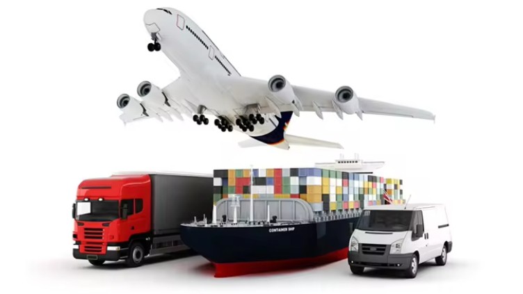 Packaging and transportation Packaging and transportation
